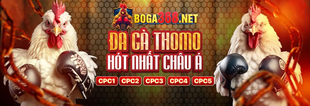 Sân đấu đá gà trực tuyến sôi động với khán giả và ánh đèn rực rỡ