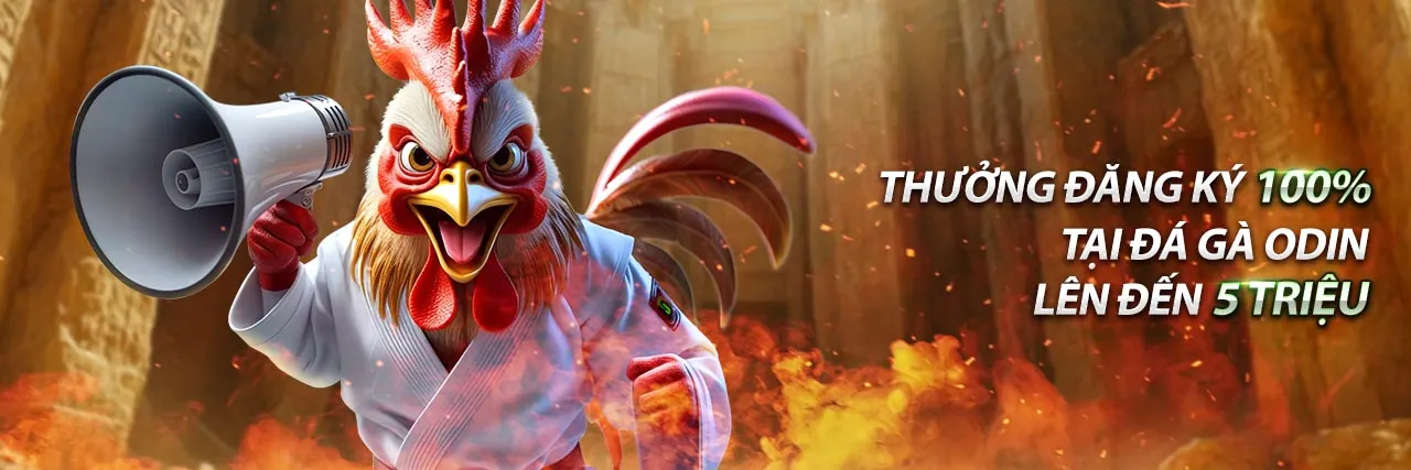 Hình ảnh minh họa hai chú gà chọi đang trong trận đấu căng thẳng.