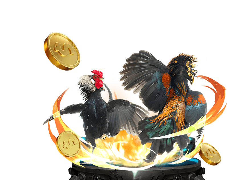 Hình ảnh sân bóng rổ và cá cược thể thao